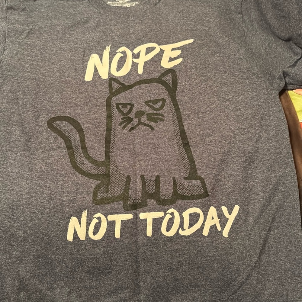 Grumpy cat 😾